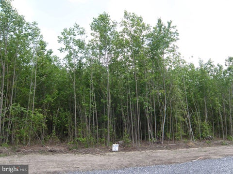 Vacant Land For Sale - LOT C - 133-9.00-9.18 Easement Off Of Shortly Rd<br/> GEORGETOWN, DE 19947