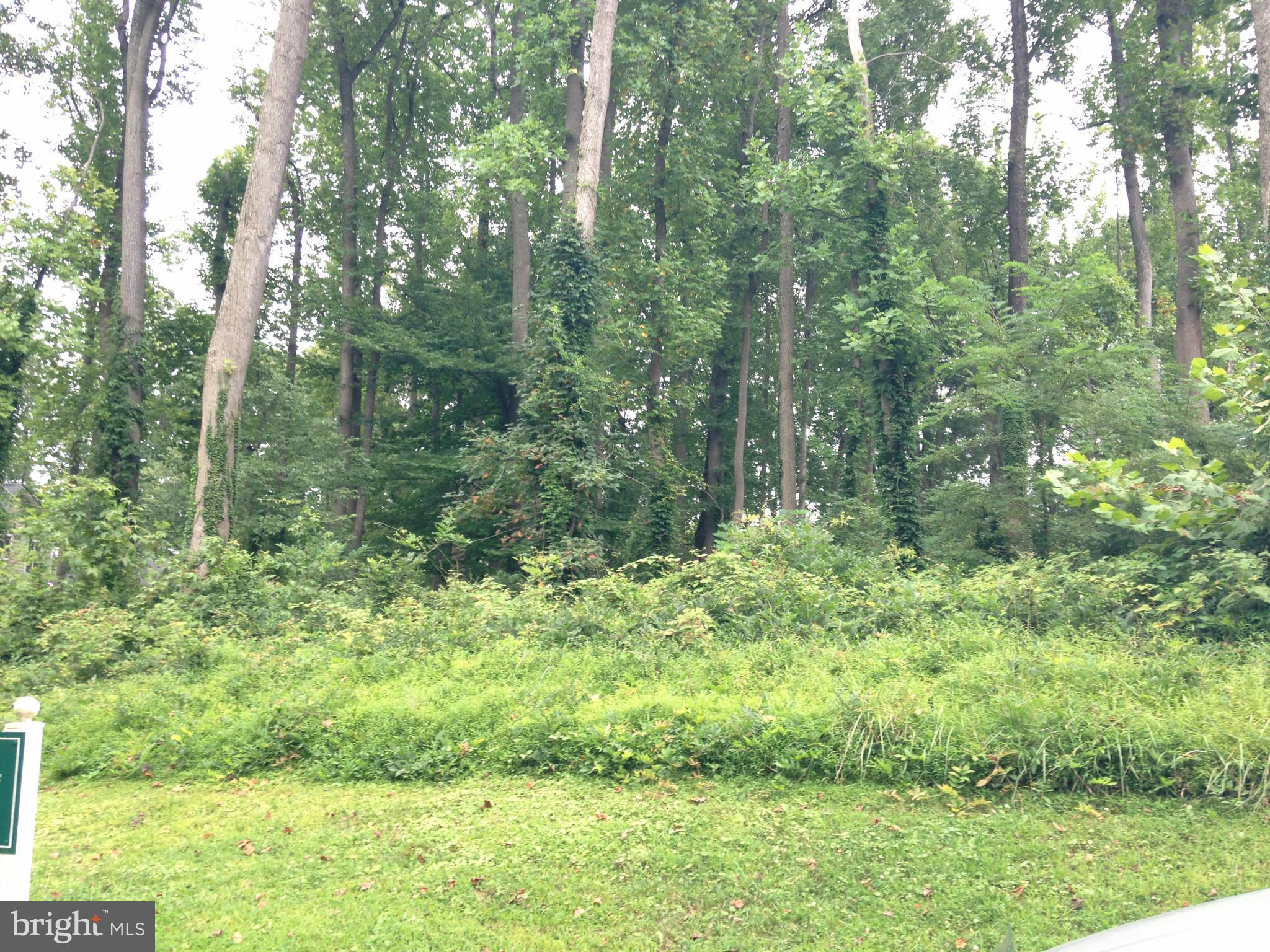 EPPING FOREST - Land