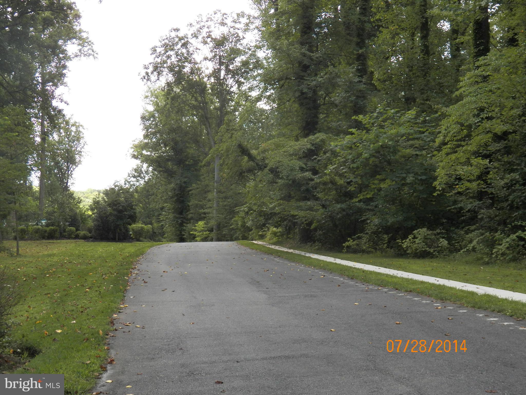 EPPING FOREST - Land