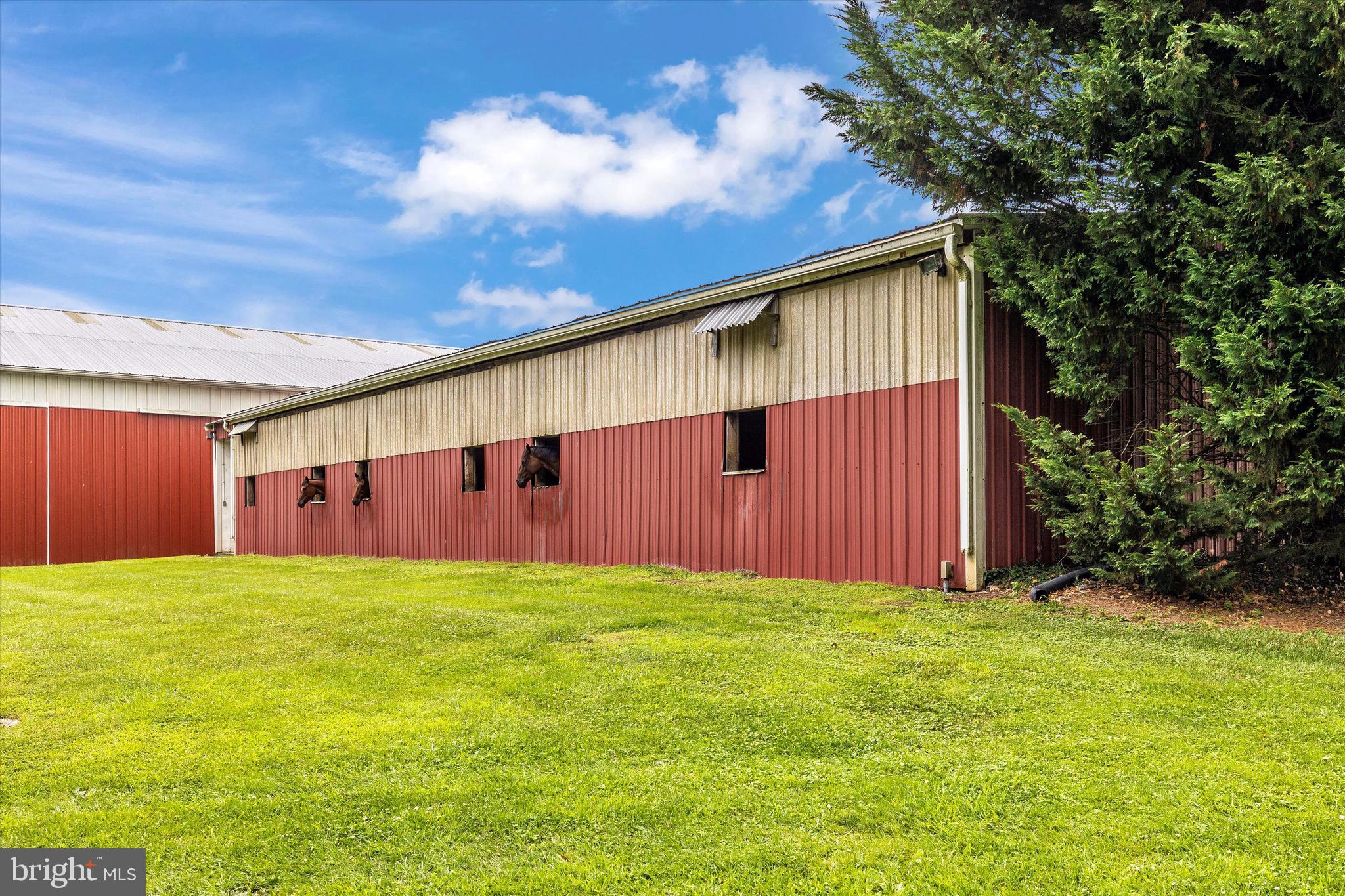 NONE AVAILABLE - Farm