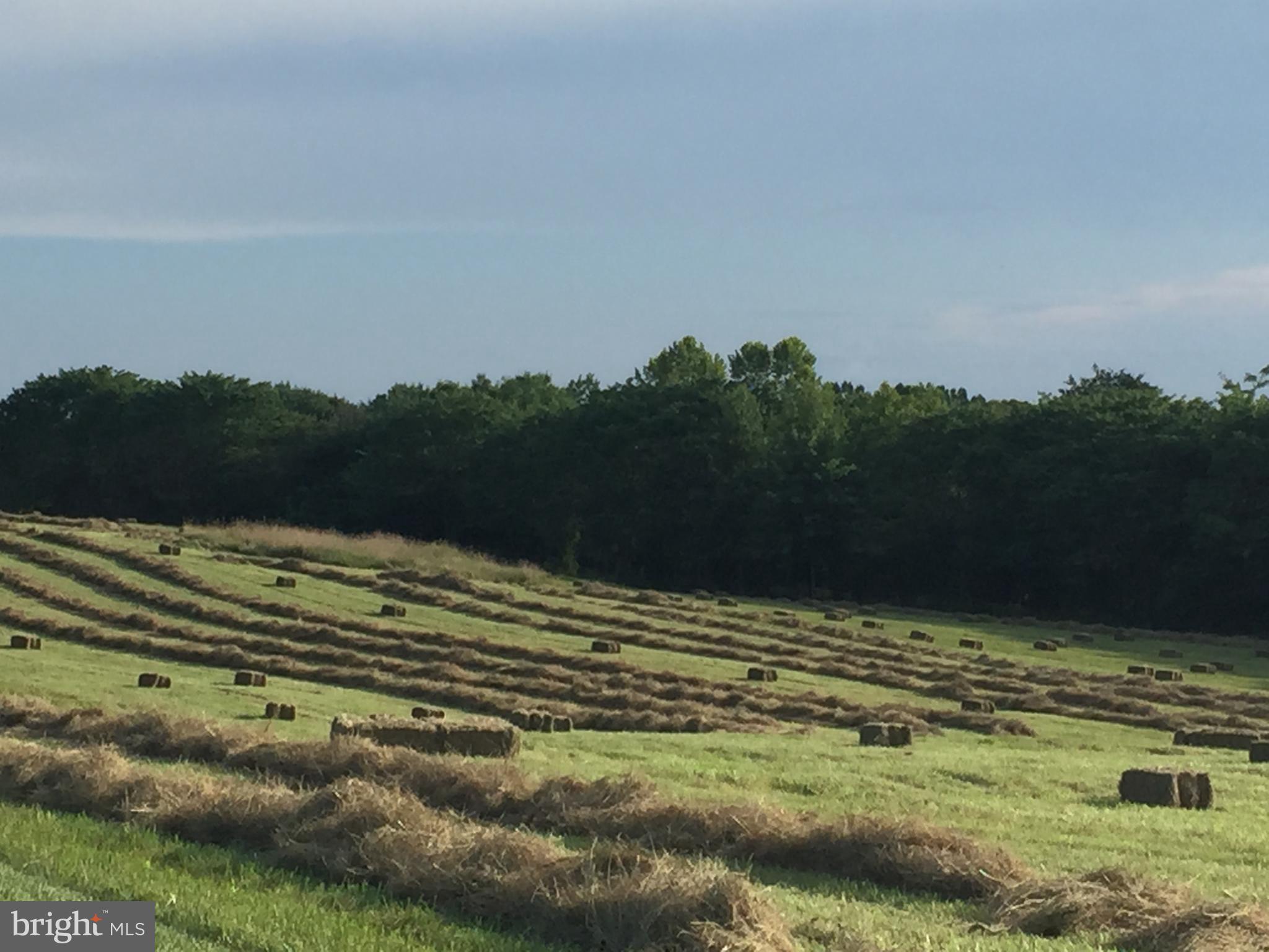 NONE AVAILABLE - Farm