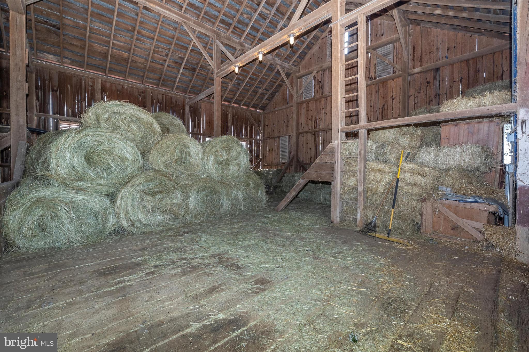 NONE AVAILABLE - Farm