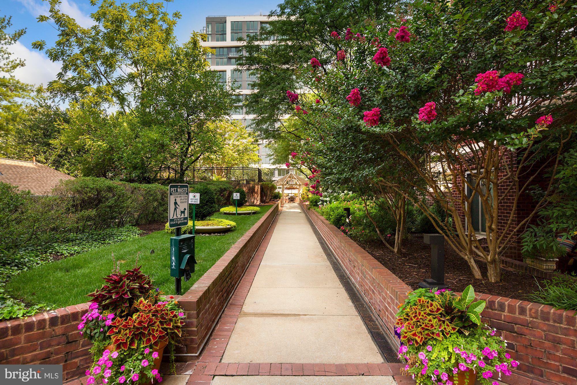 THE CHASE AT BETHESDA - Residential