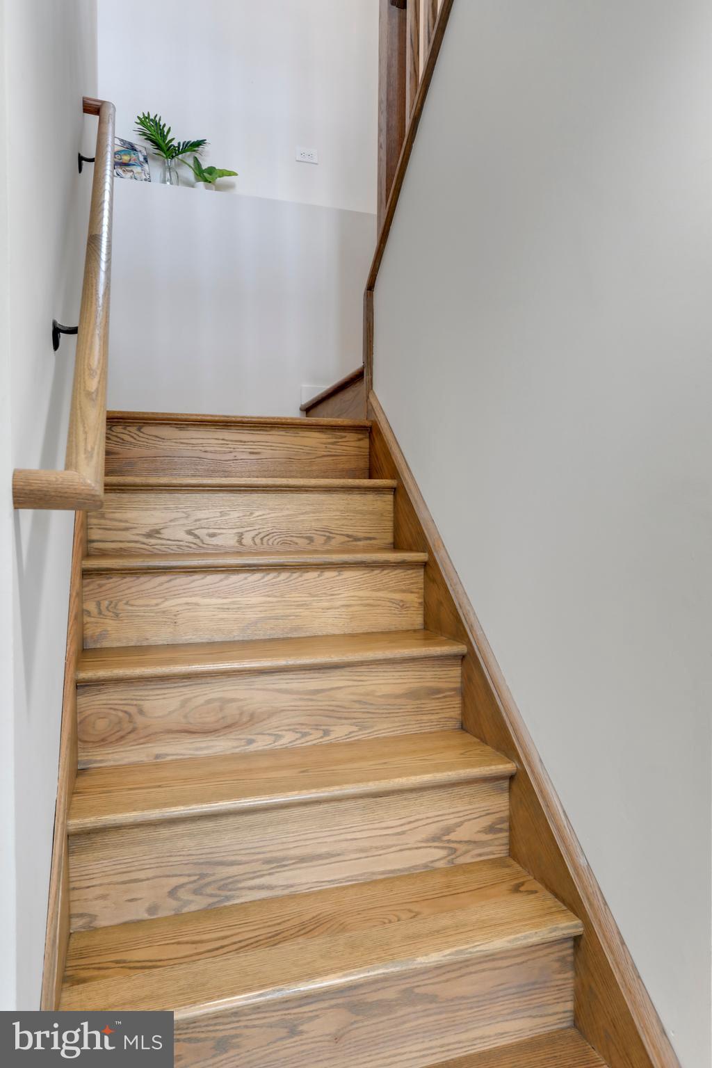 SHANNONDALE - Residential