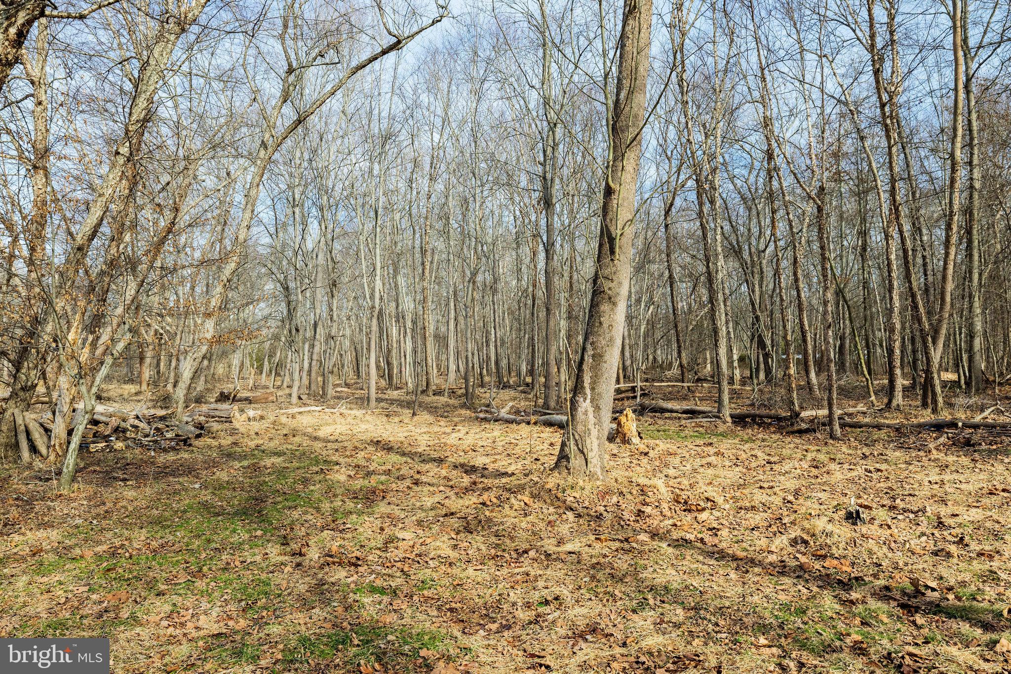 RICHLAND ACRES - Residential