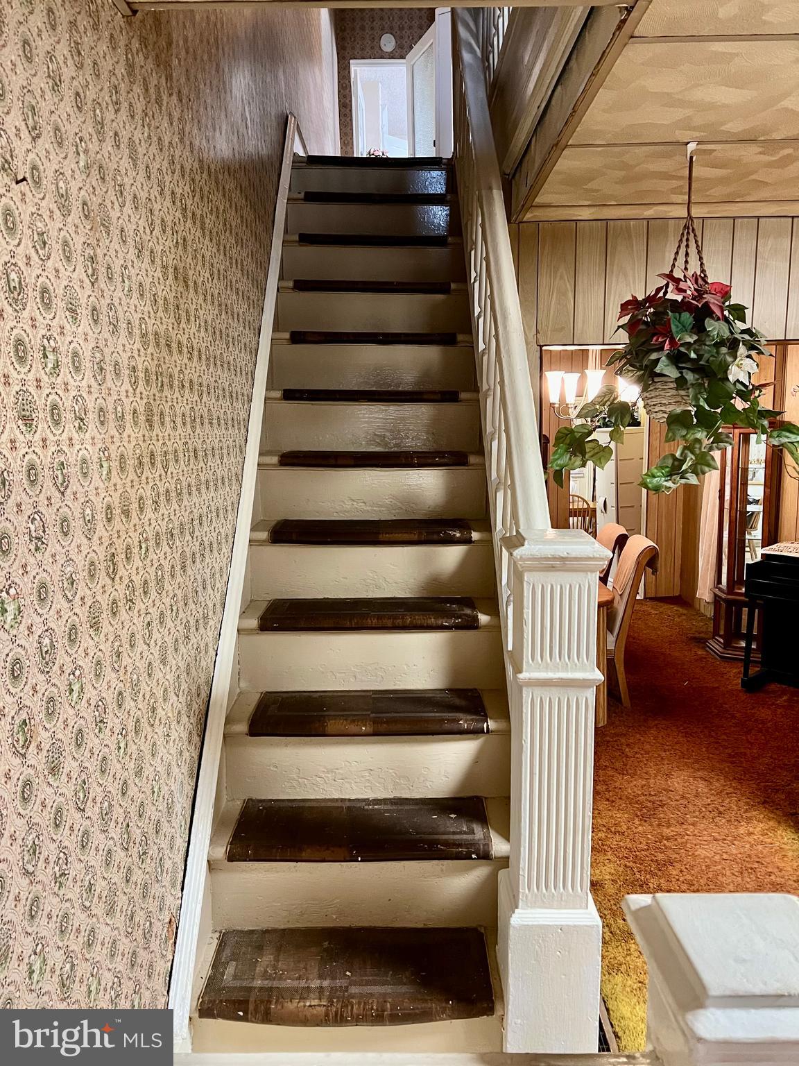 ELMWOOD PARK - Residential