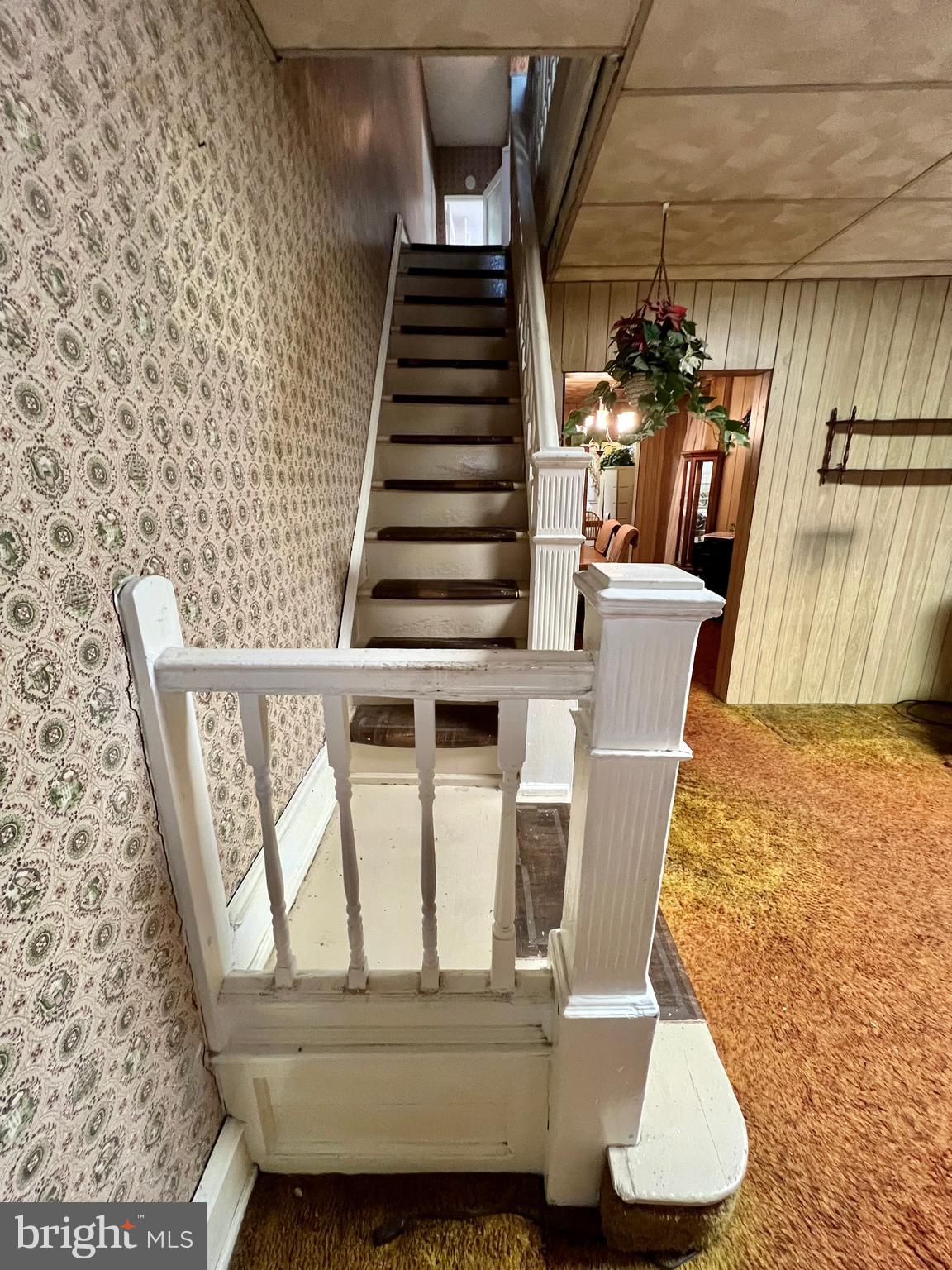 ELMWOOD PARK - Residential