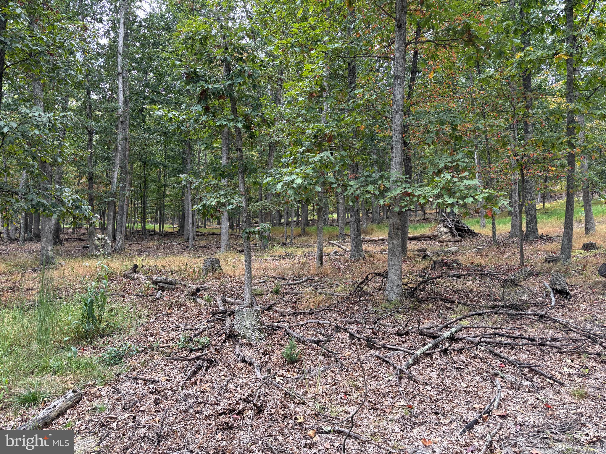 WALNUT BOTTOM HIDEAWAY - Residential