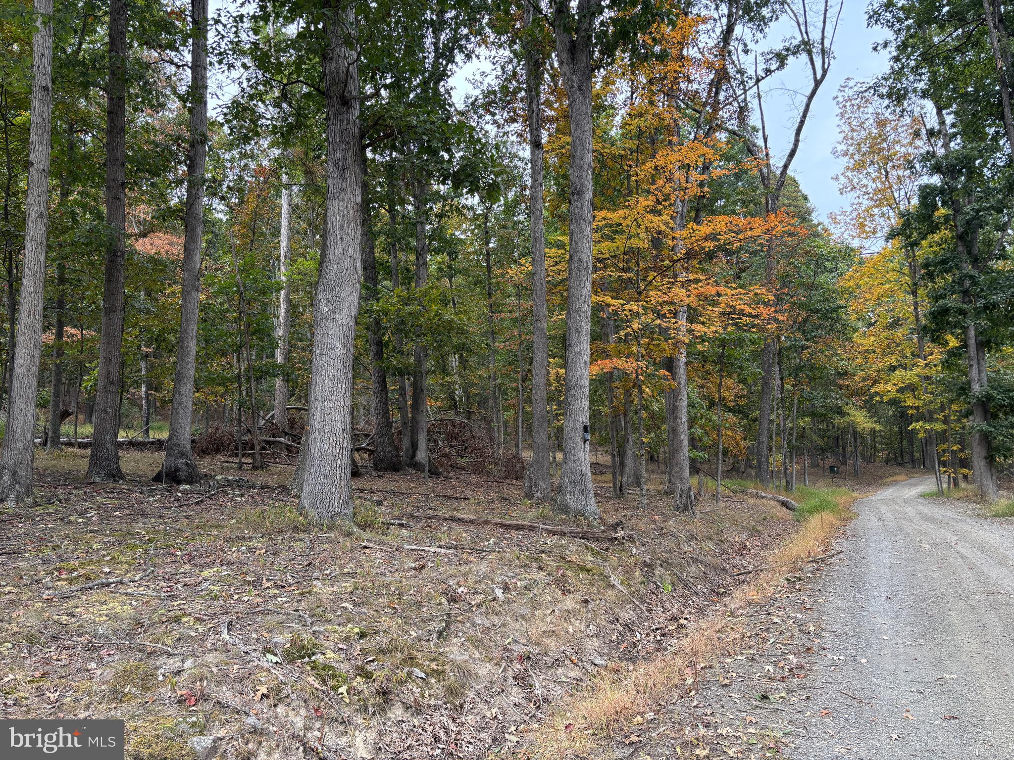 WALNUT BOTTOM HIDEAWAY - Residential
