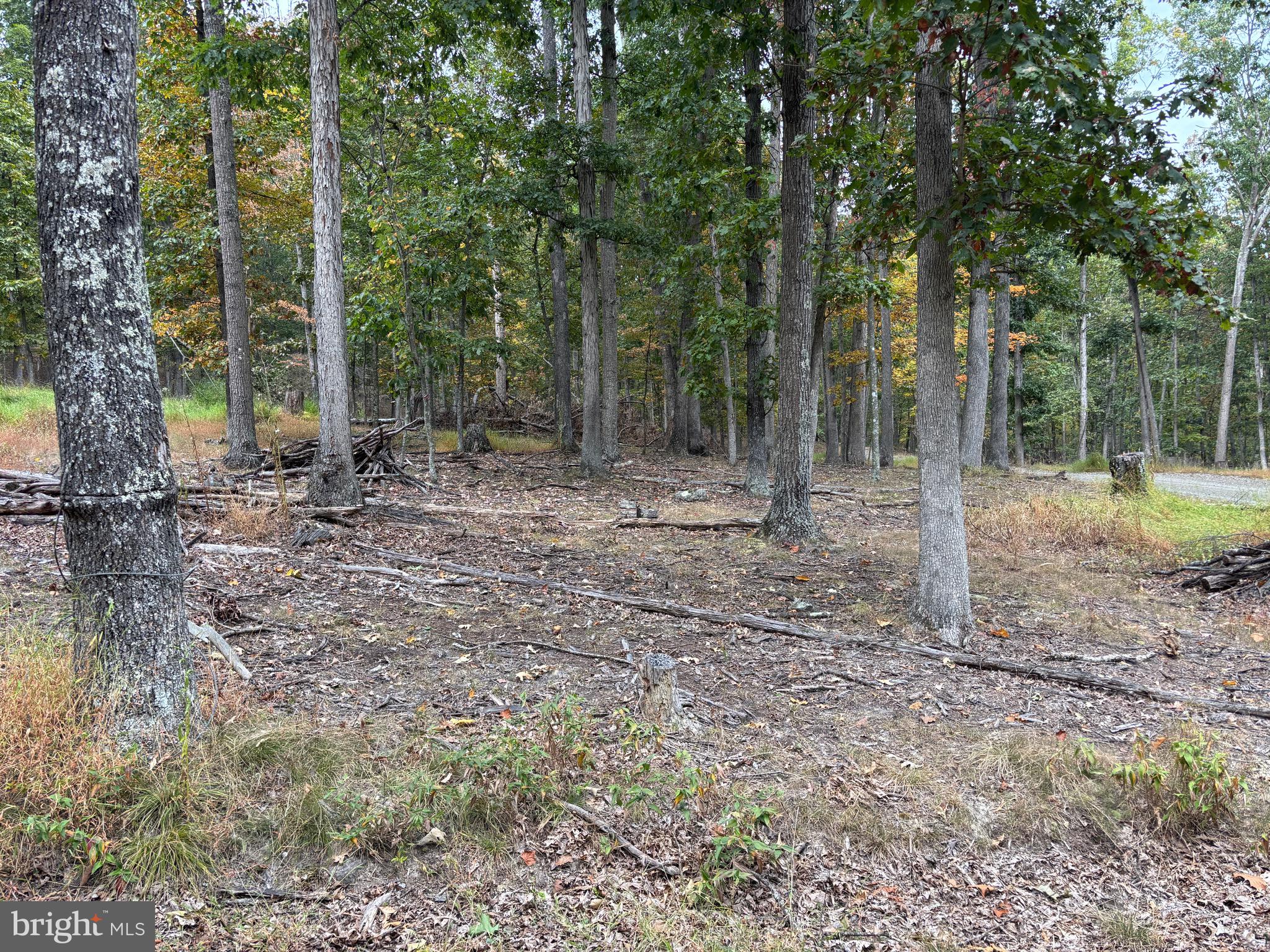 WALNUT BOTTOM HIDEAWAY - Residential