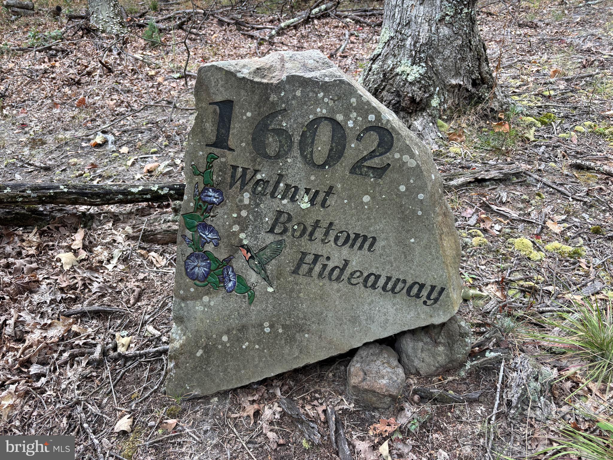 WALNUT BOTTOM HIDEAWAY - Residential