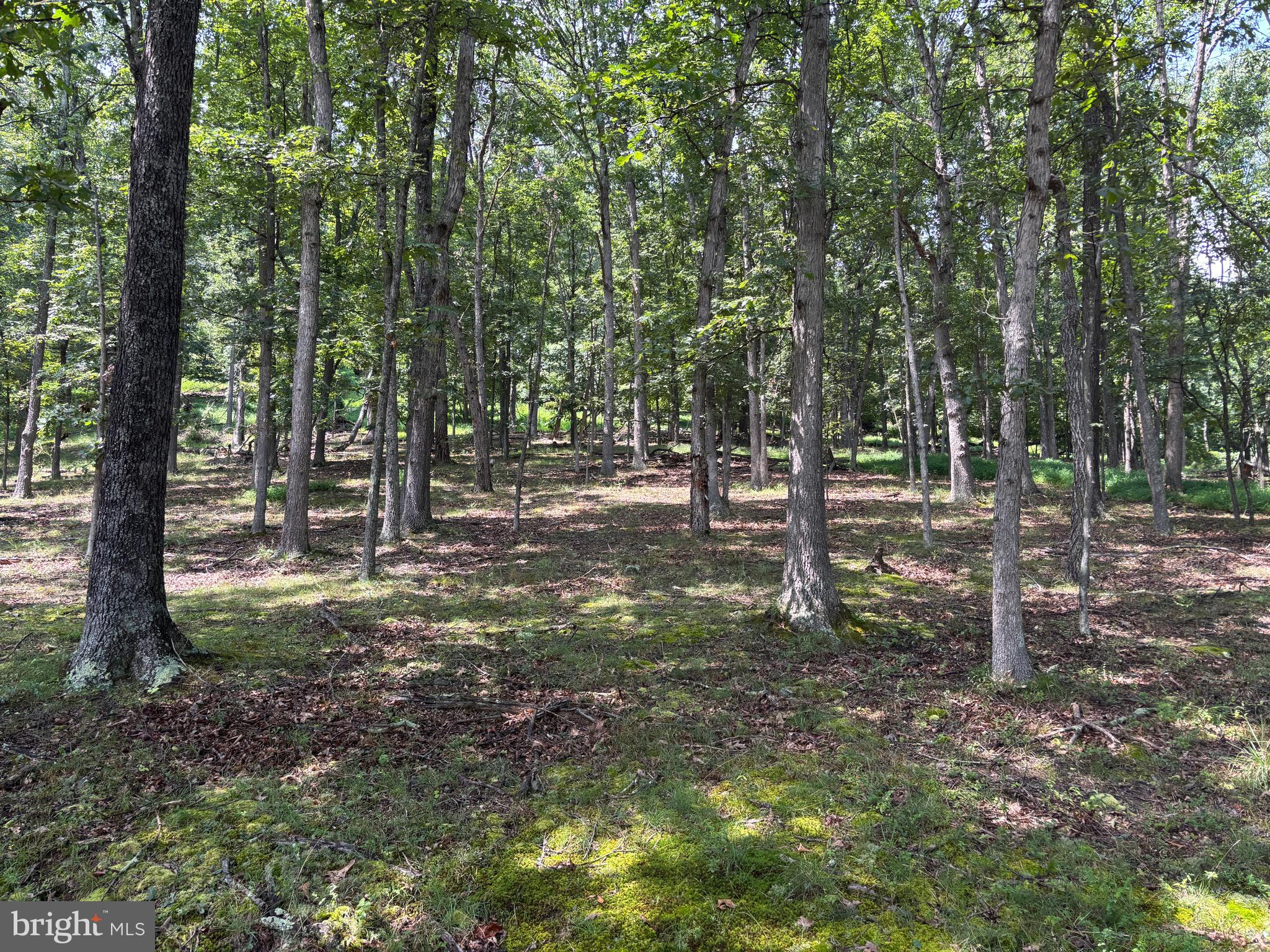 WALNUT BOTTOM HIDEAWAY - Residential