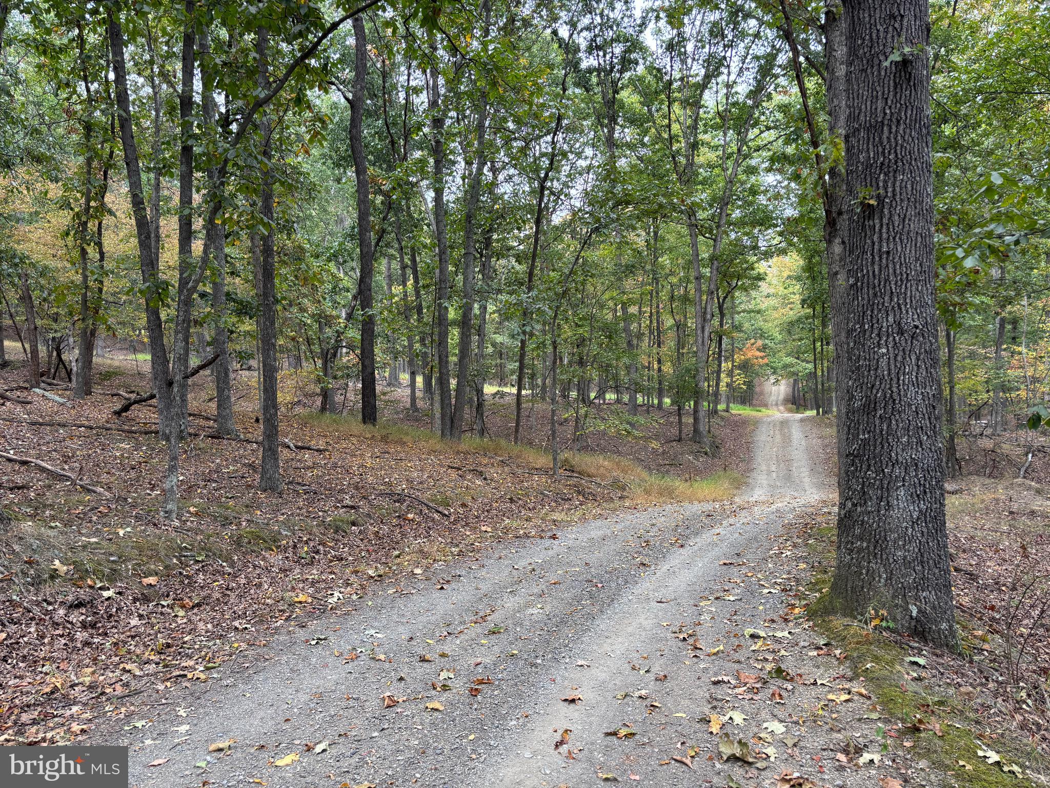 WALNUT BOTTOM HIDEAWAY - Residential