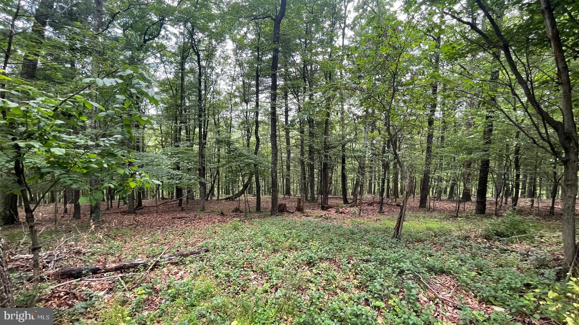 POTOMAC HIGHLAND FARM - Residential