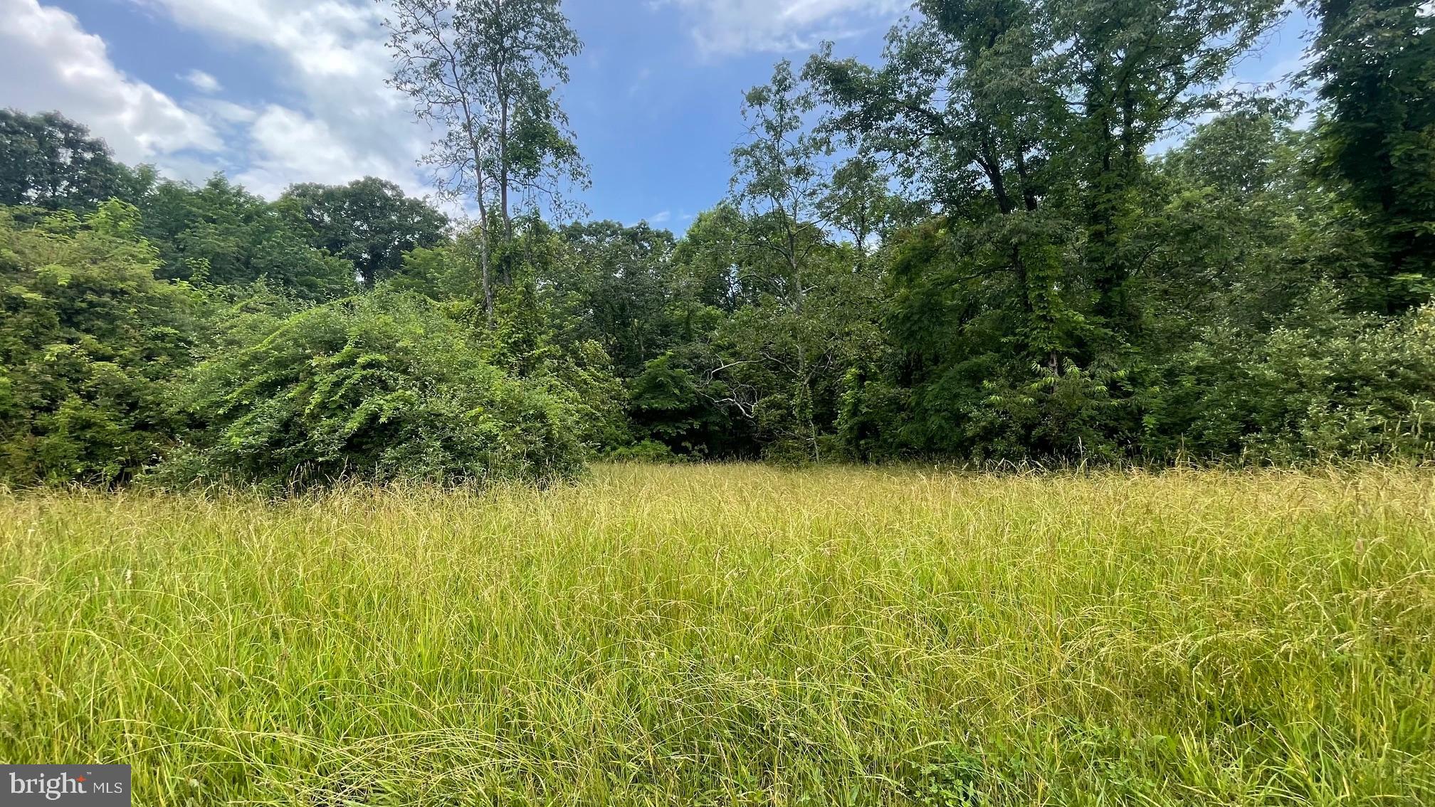 POTOMAC HIGHLAND FARM - Residential