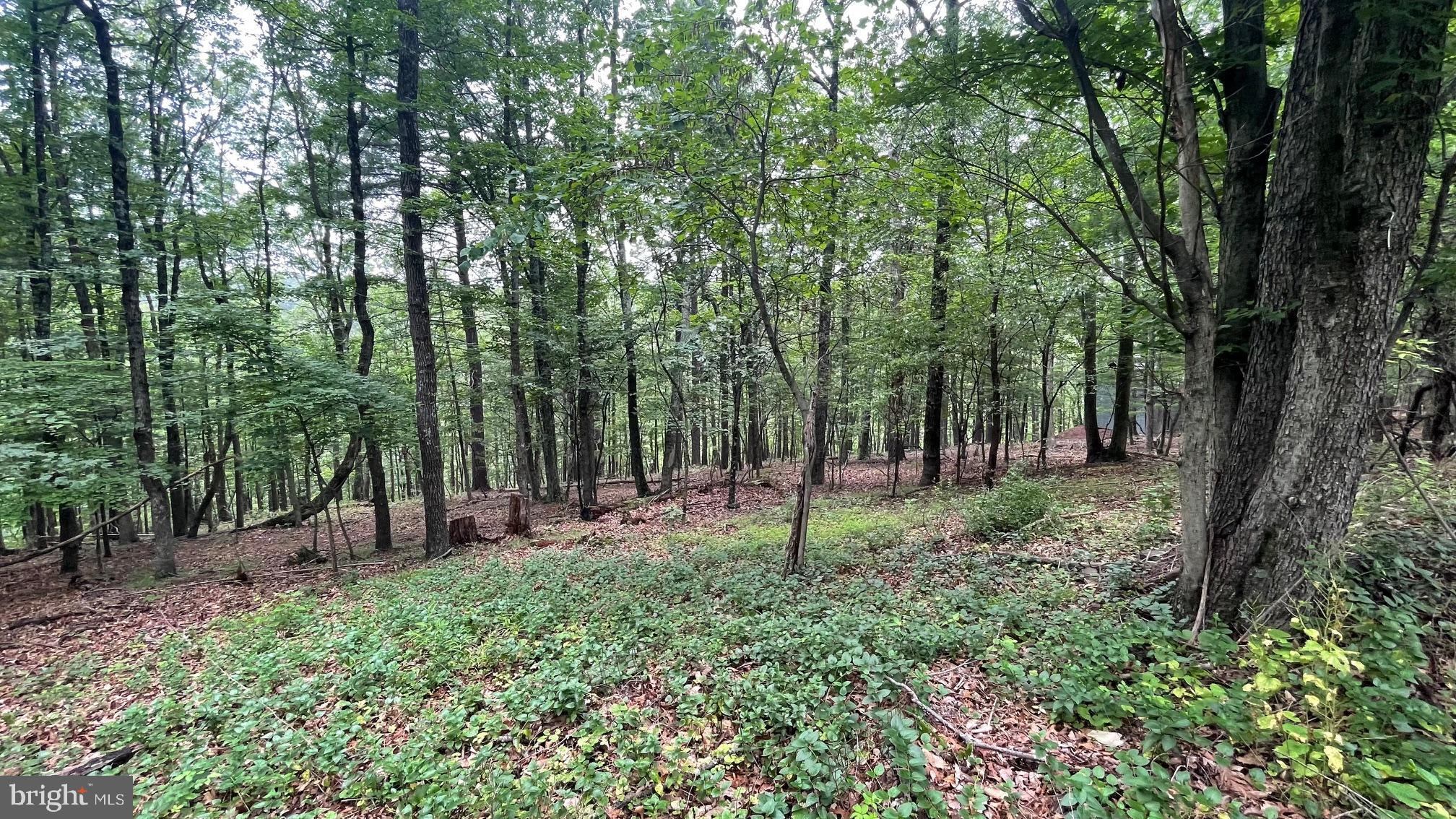 POTOMAC HIGHLAND FARM - Residential