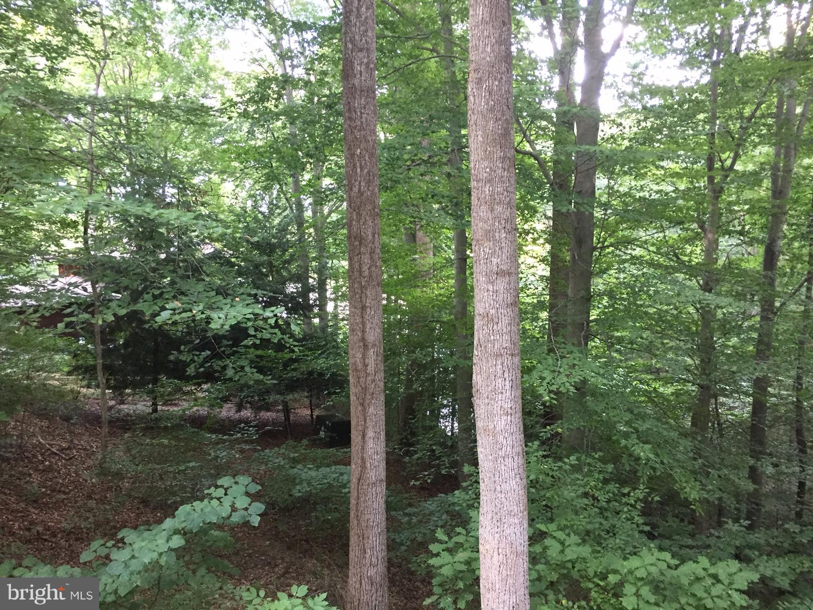 OCCOQUAN FOREST - Residential