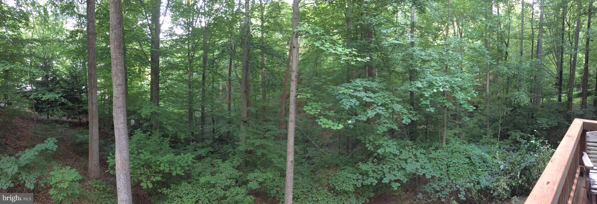 OCCOQUAN FOREST - Residential