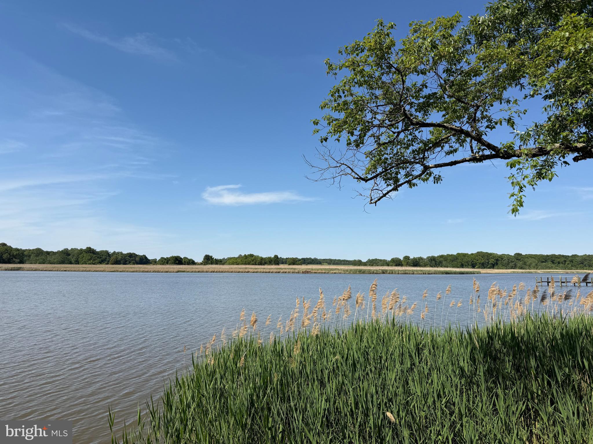 DUCKS NECK - Land
