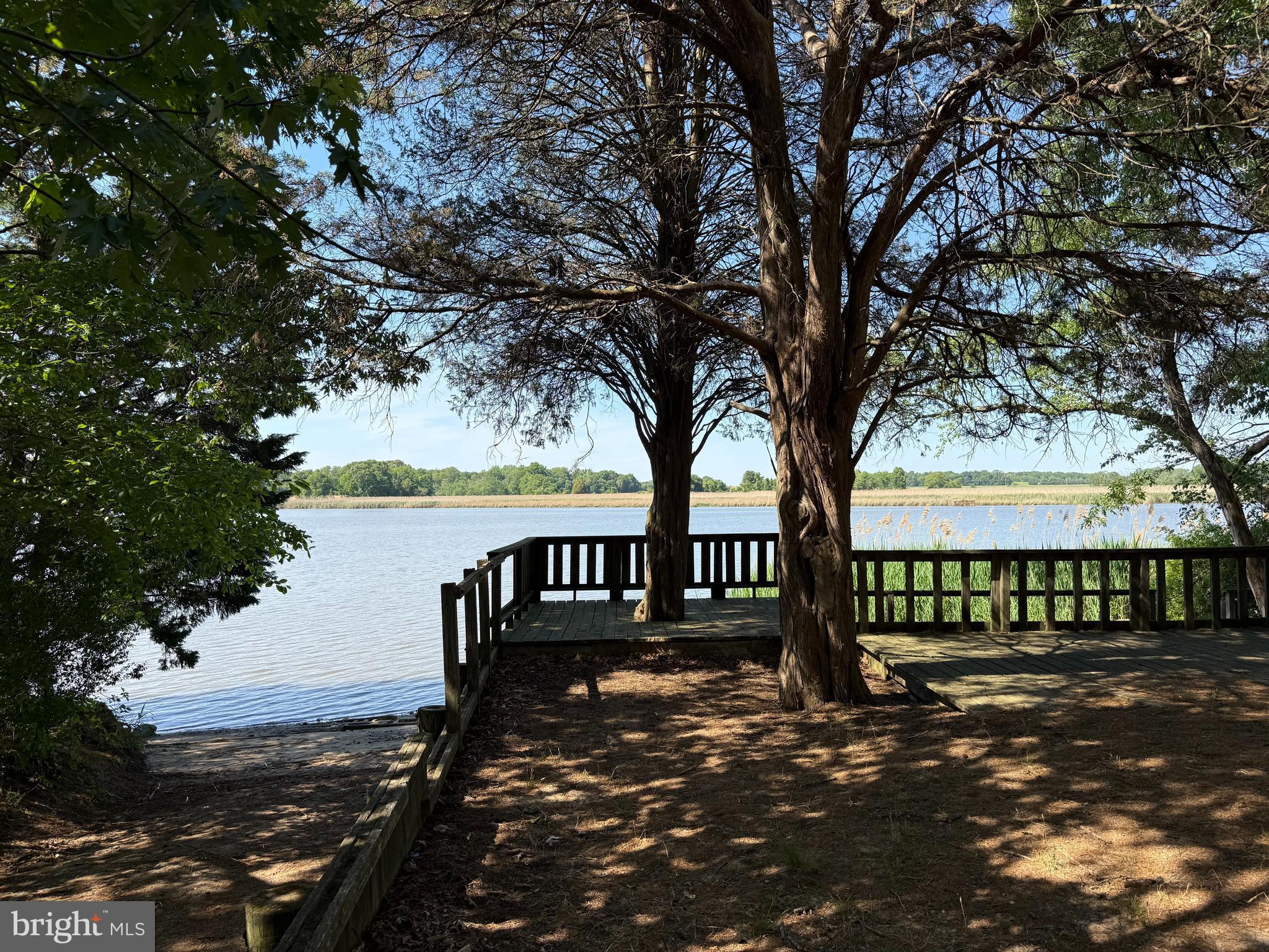 DUCKS NECK - Land