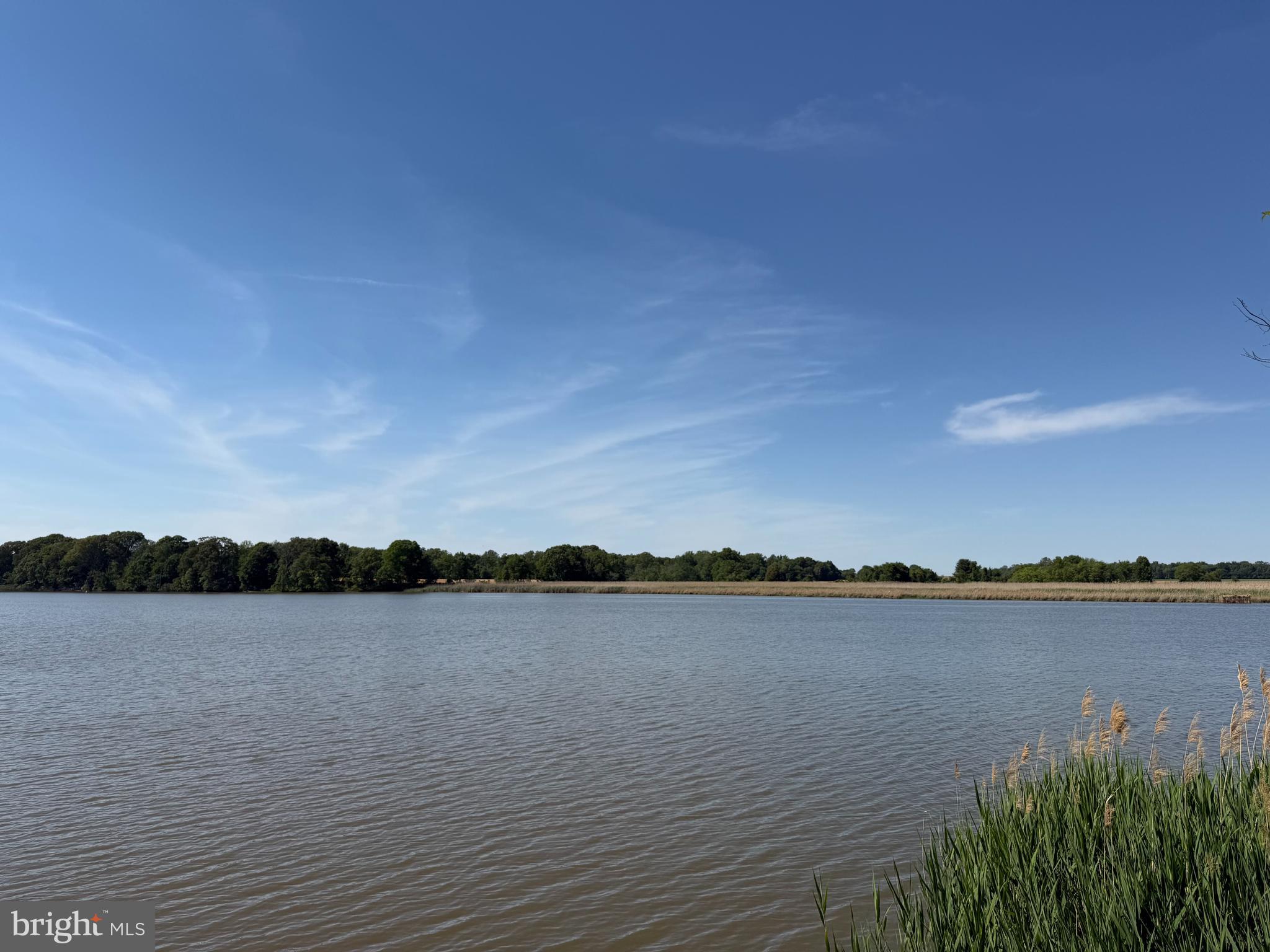 DUCKS NECK - Land