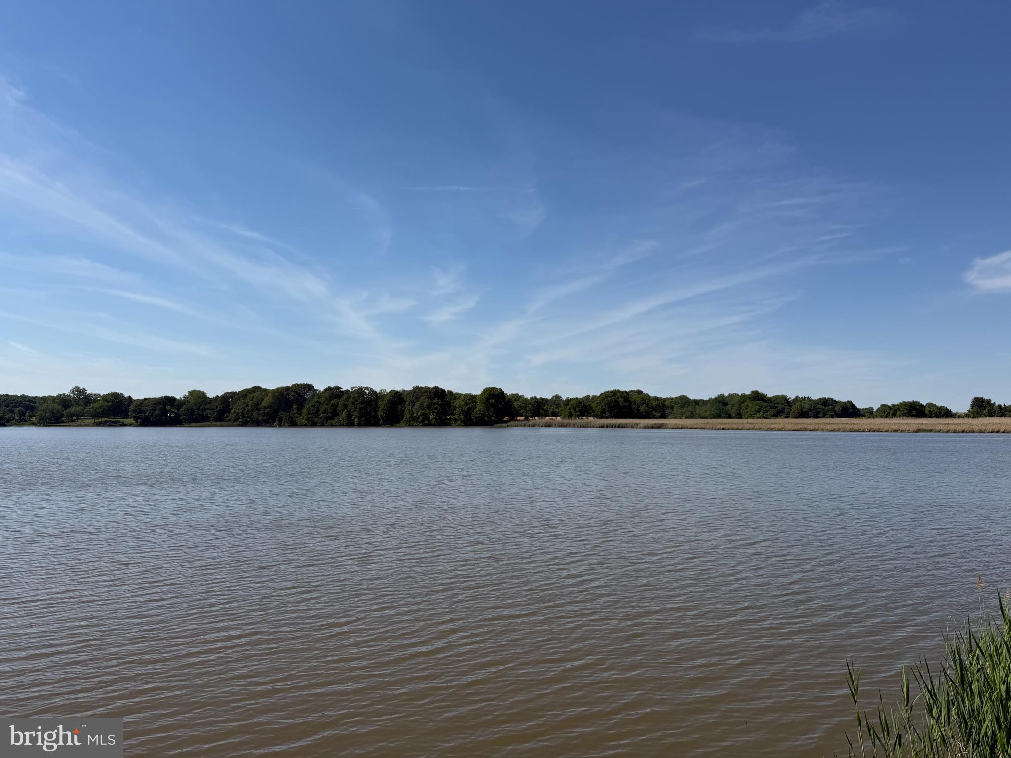 DUCKS NECK - Land