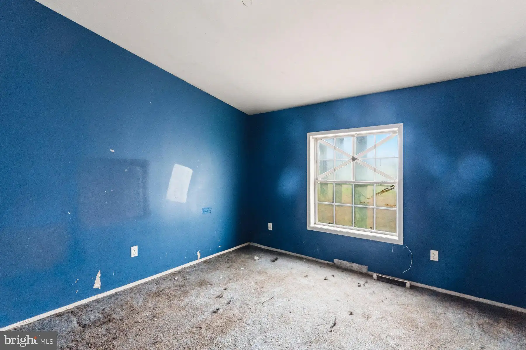 Additional image 49 of 8434 Hurleys Neck Road, Mardela Springs, MD 21837