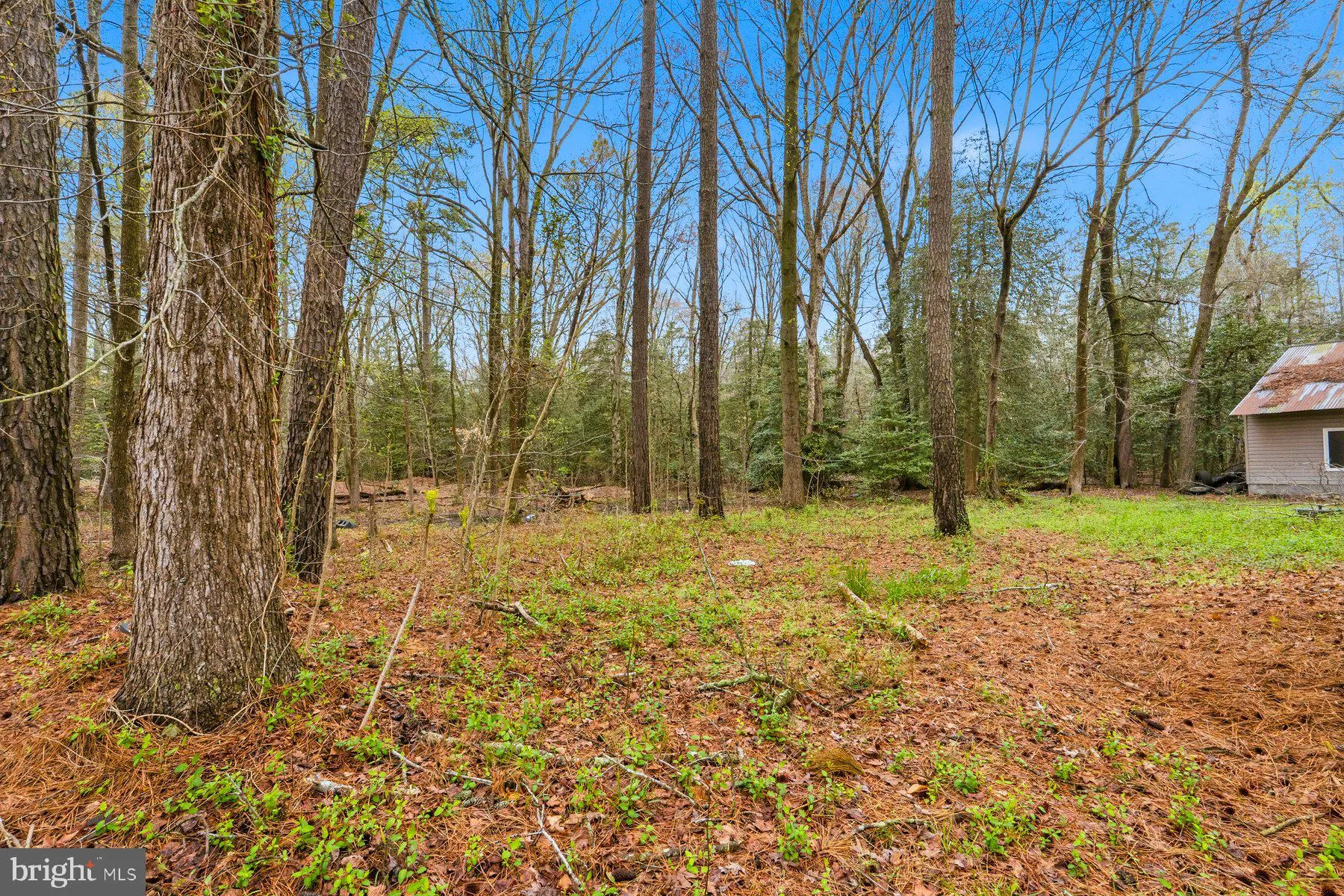 Additional image 33 of 8434 Hurleys Neck Road, Mardela Springs, MD 21837