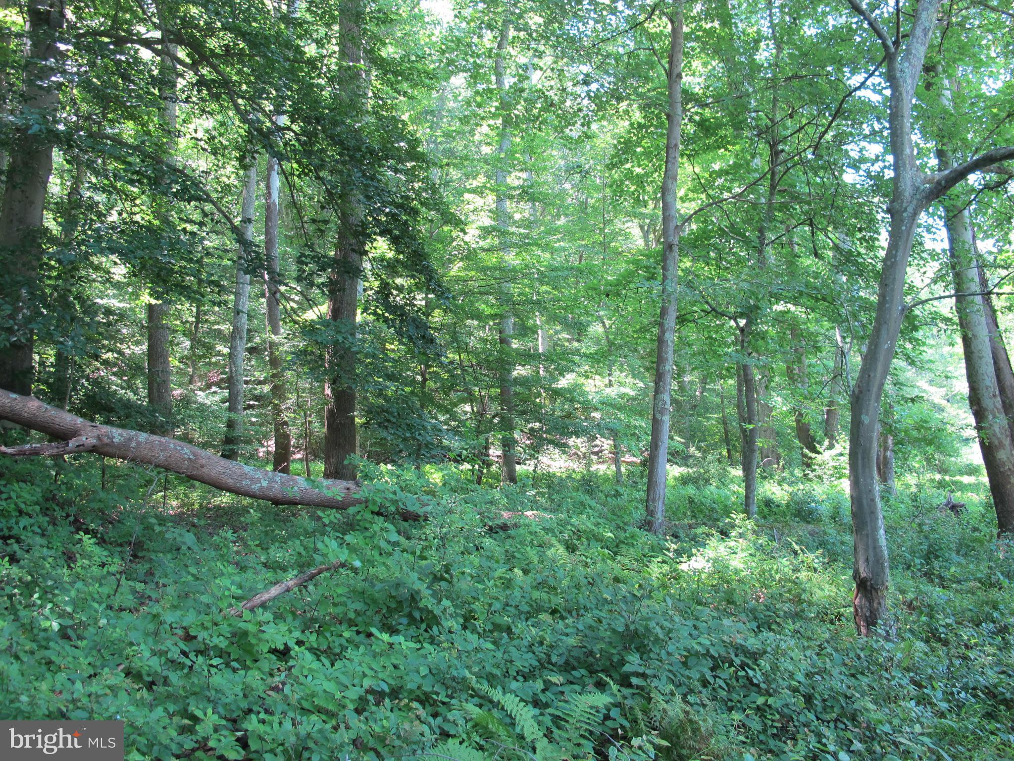 NONE AVAILABLE - Land