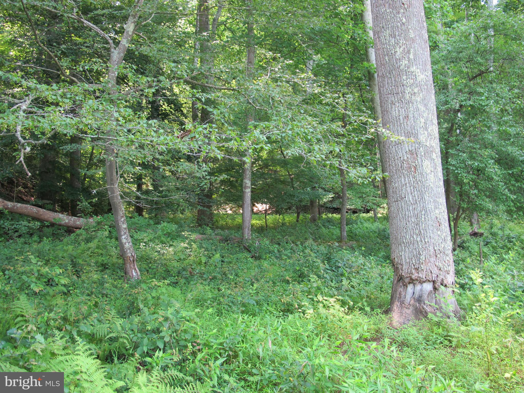 NONE AVAILABLE - Land