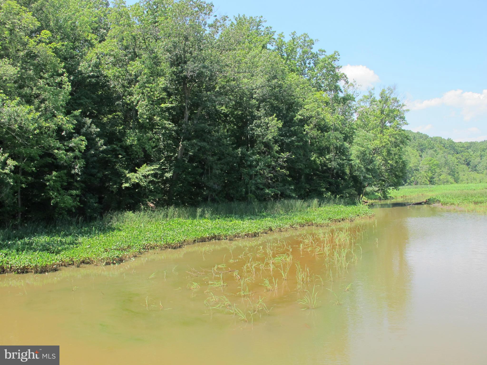 NONE AVAILABLE - Land