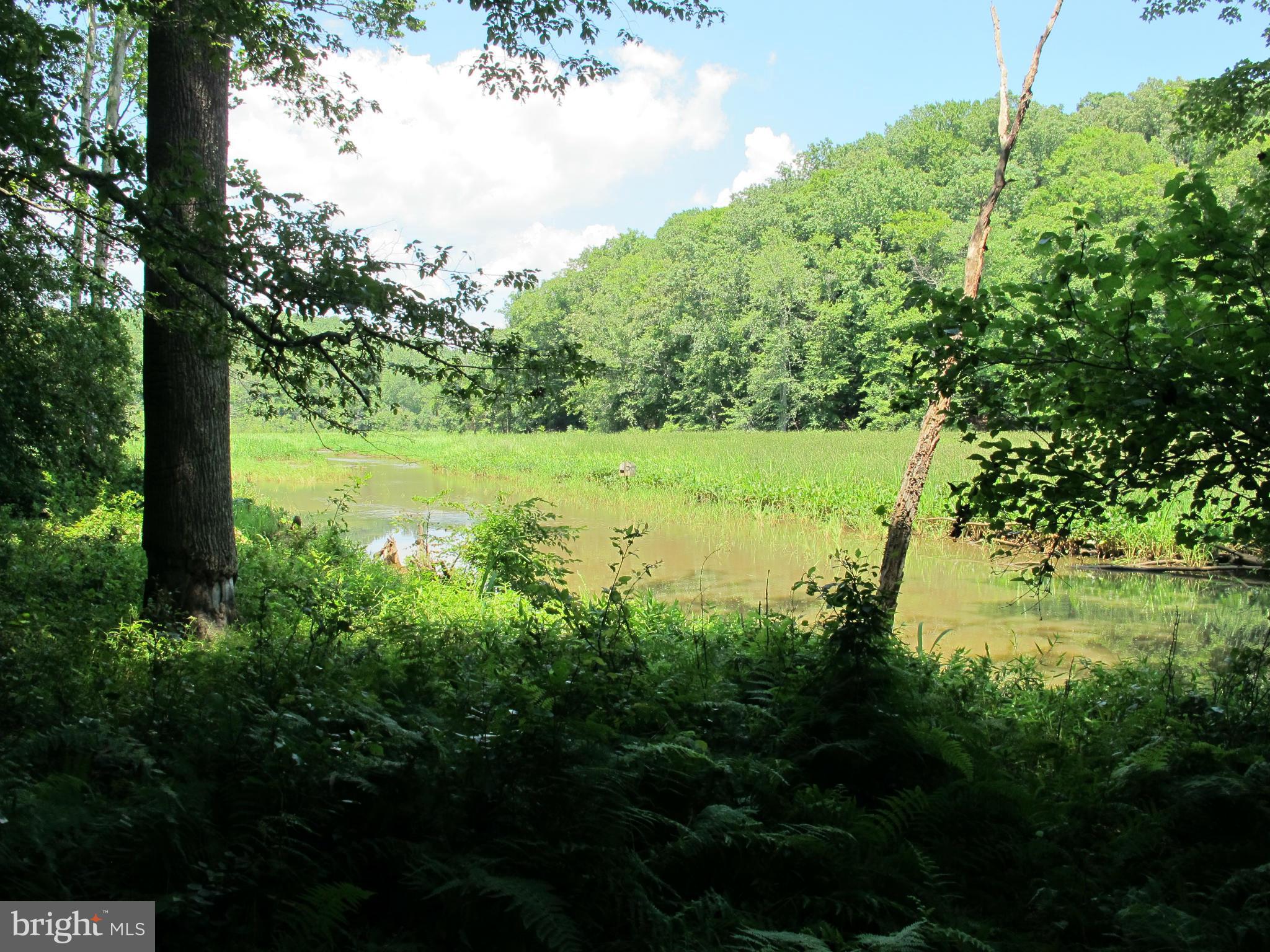 NONE AVAILABLE - Land