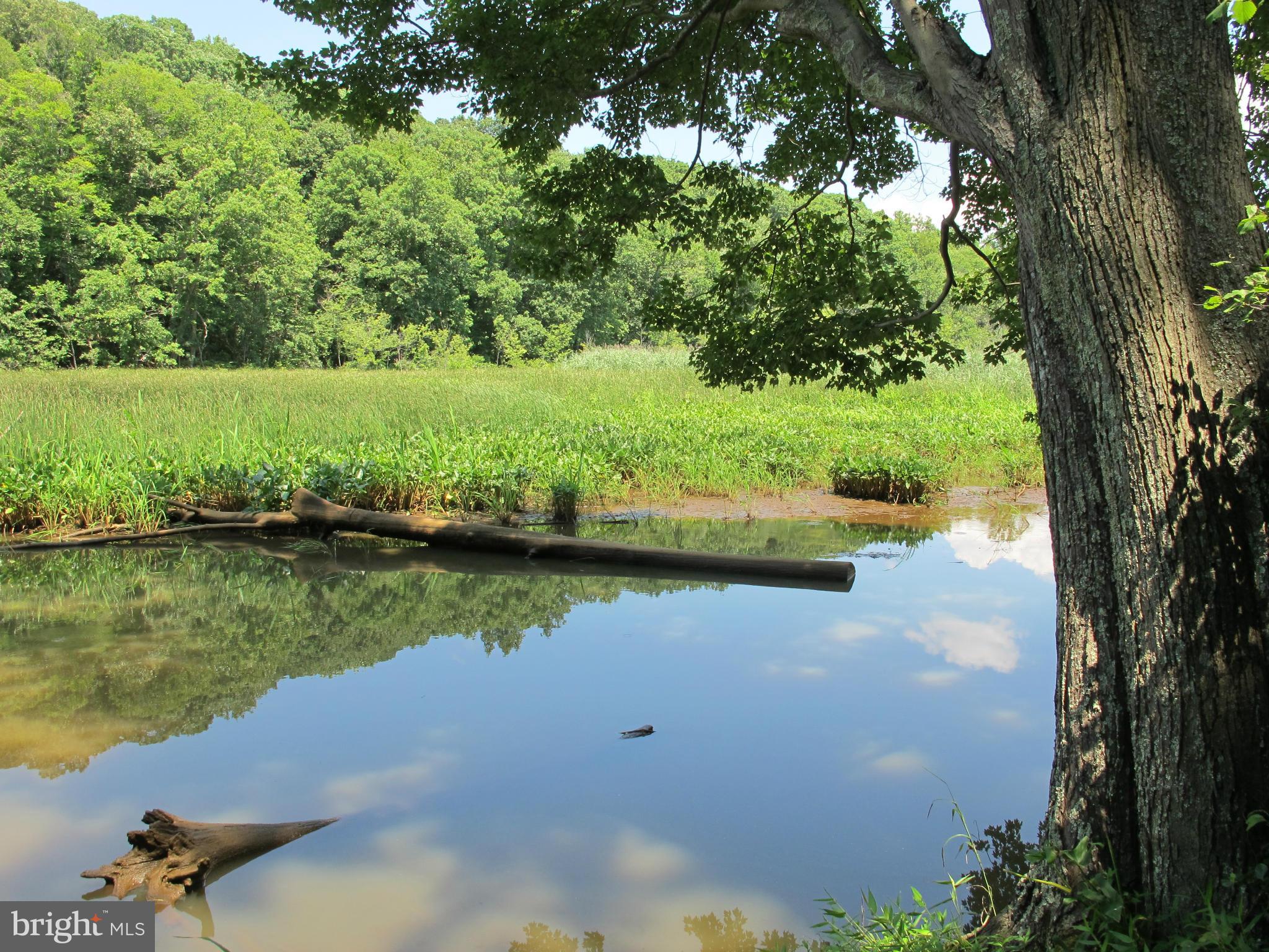 NONE AVAILABLE - Land