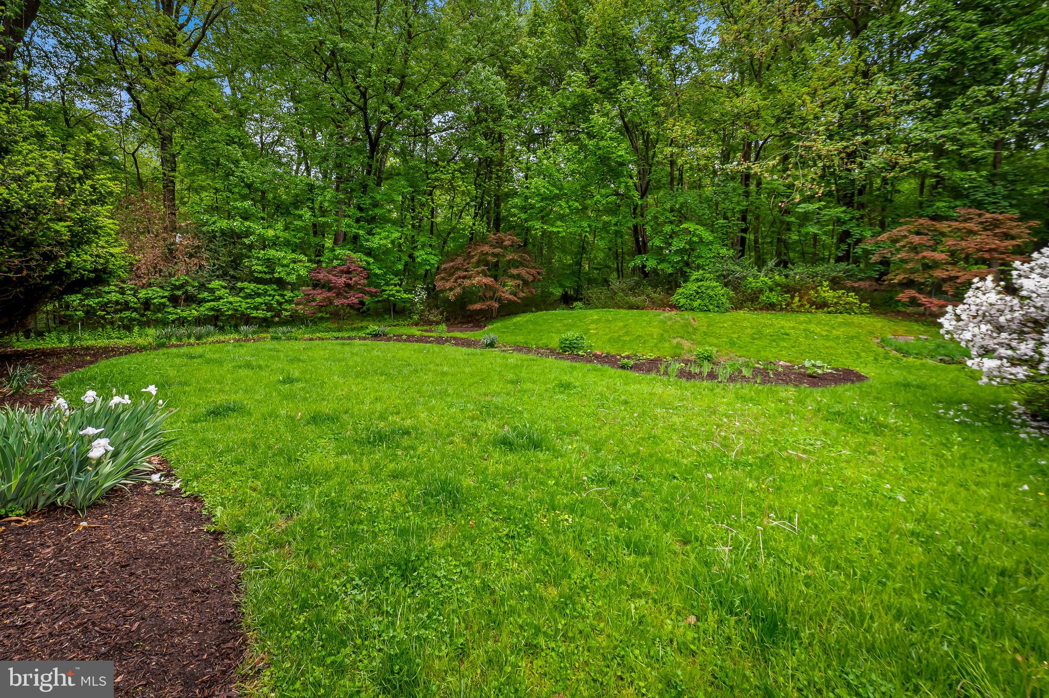 CAVESWOOD - Residential