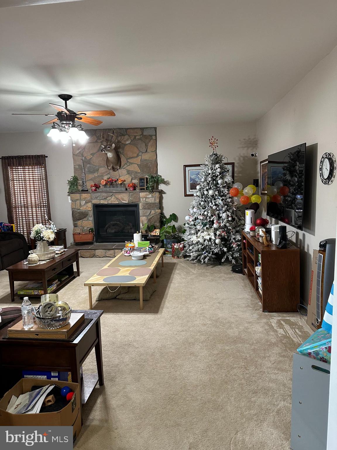 101 RUSTLING LEAF PLACE