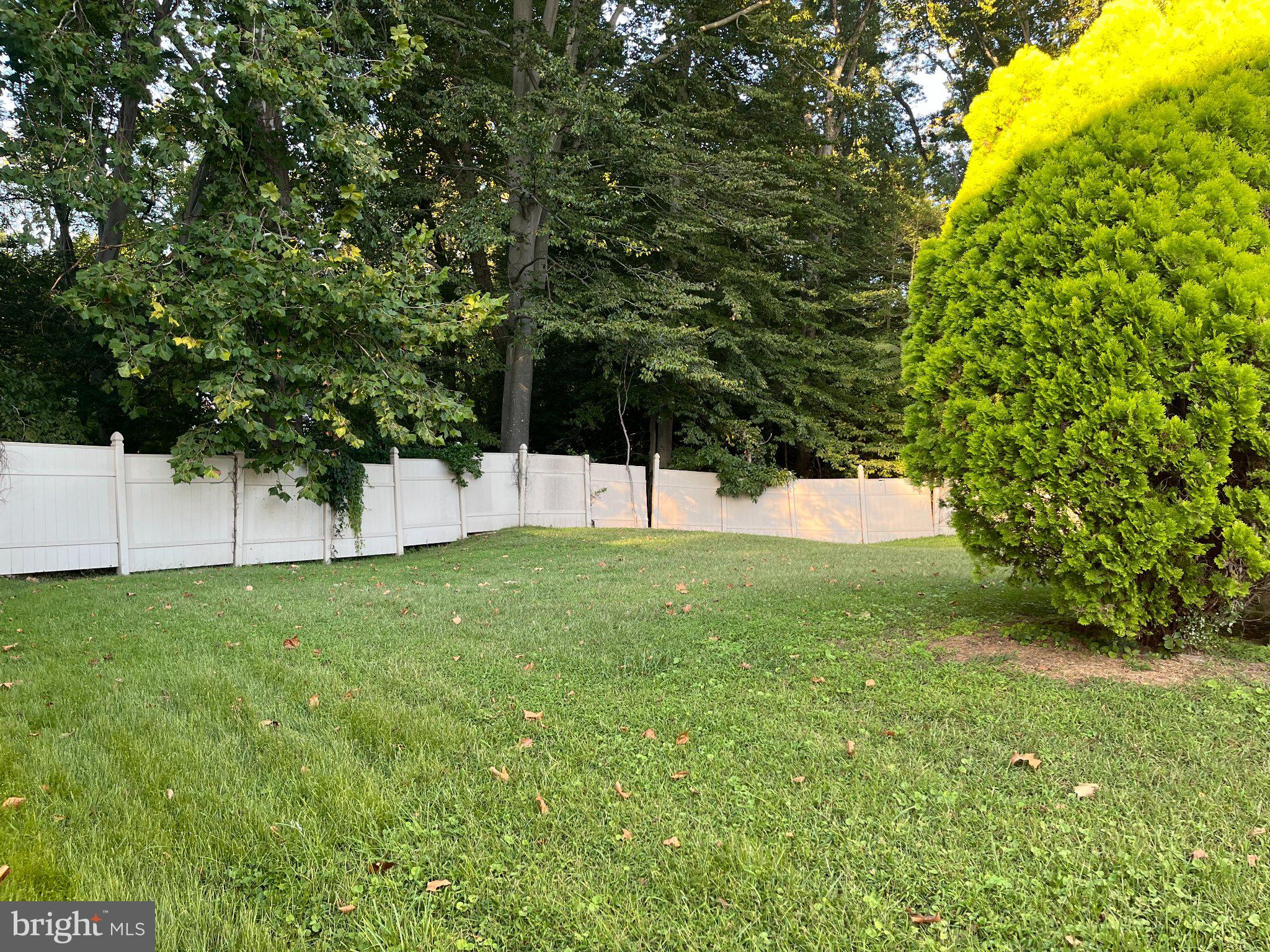 1025 CHEWS LANDING ROAD