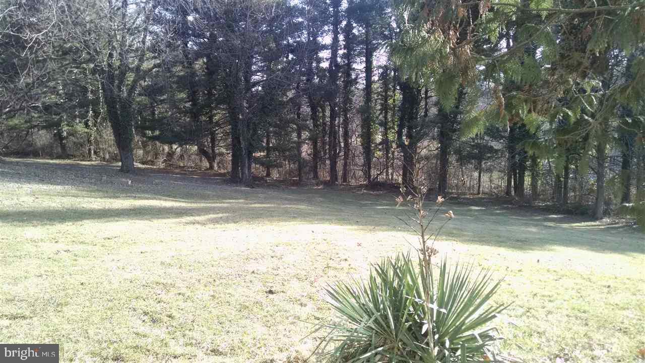 SKYLINE HEIGHTS - Residential