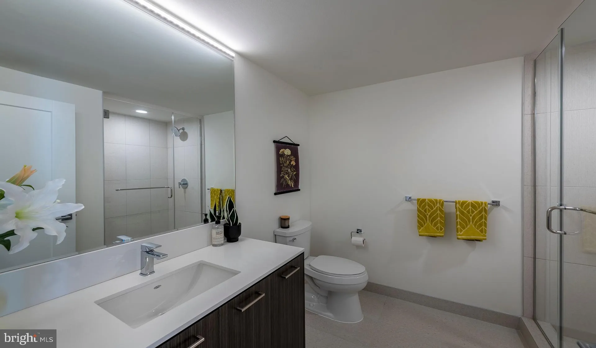 Additional image 111 of 4710 Elm Street Unit E-1015, Bethesda, MD 20814