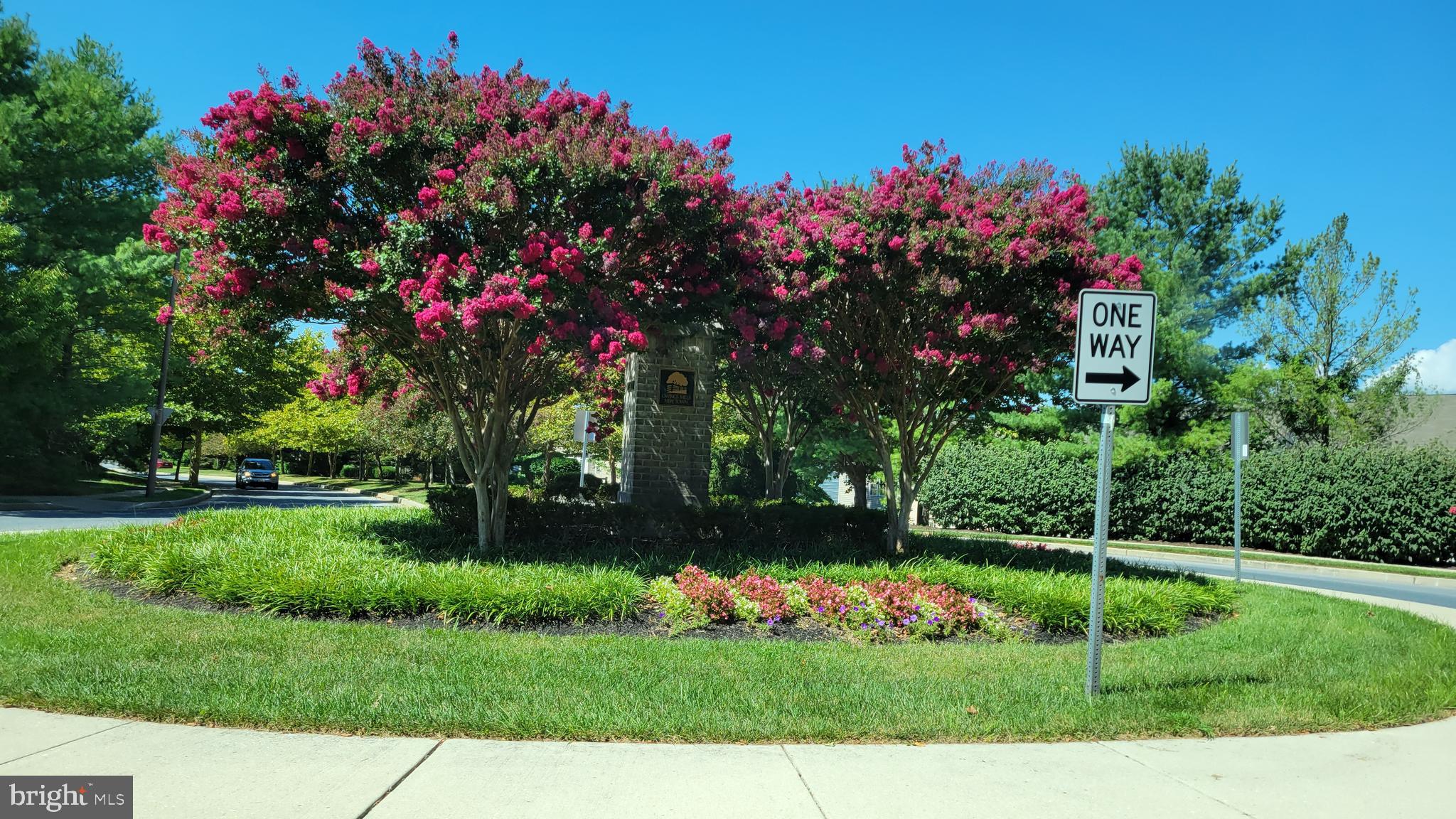 BCKGHM CND@OWGS MS NW TN - Residential