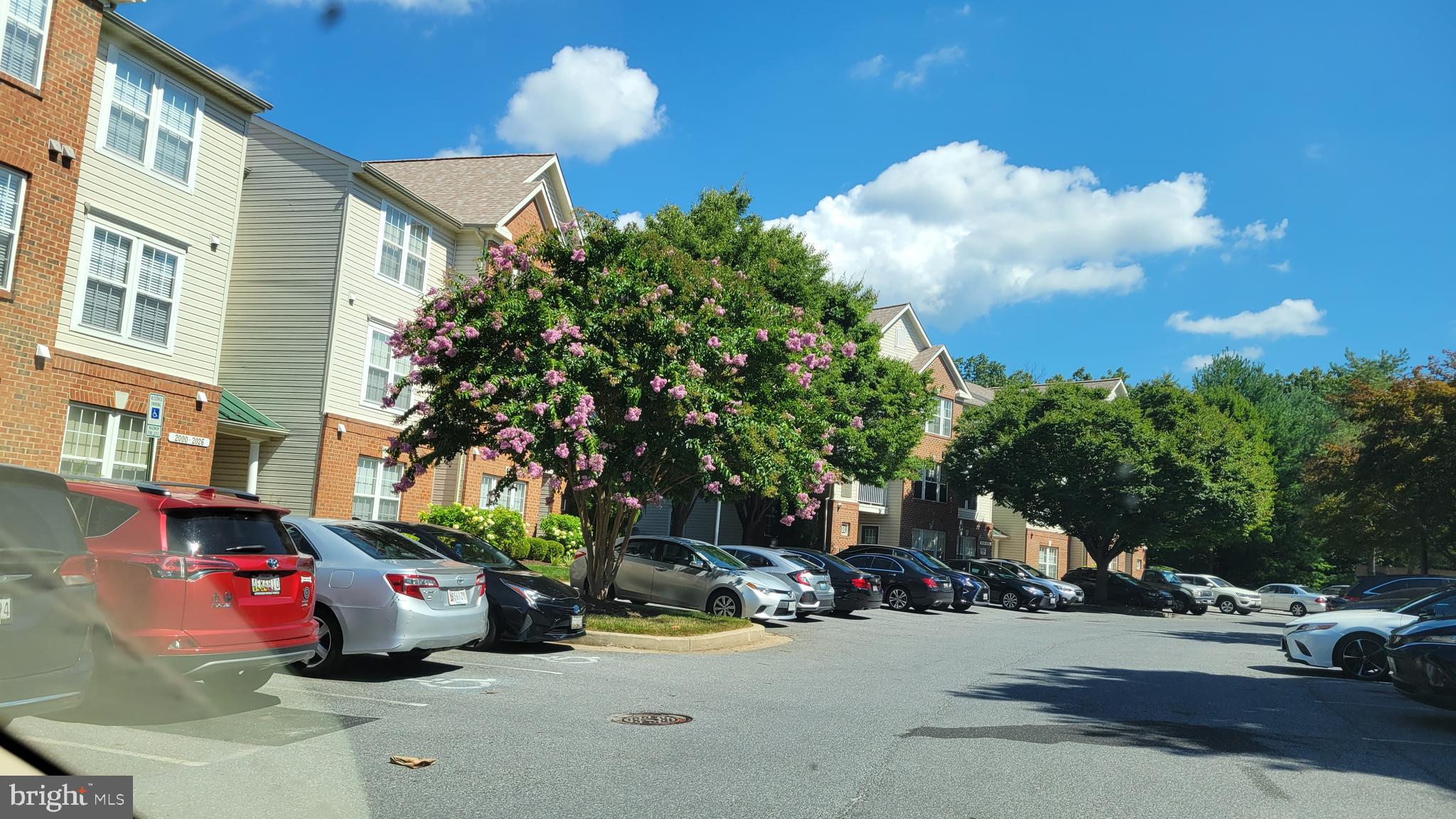 BCKGHM CND@OWGS MS NW TN - Residential