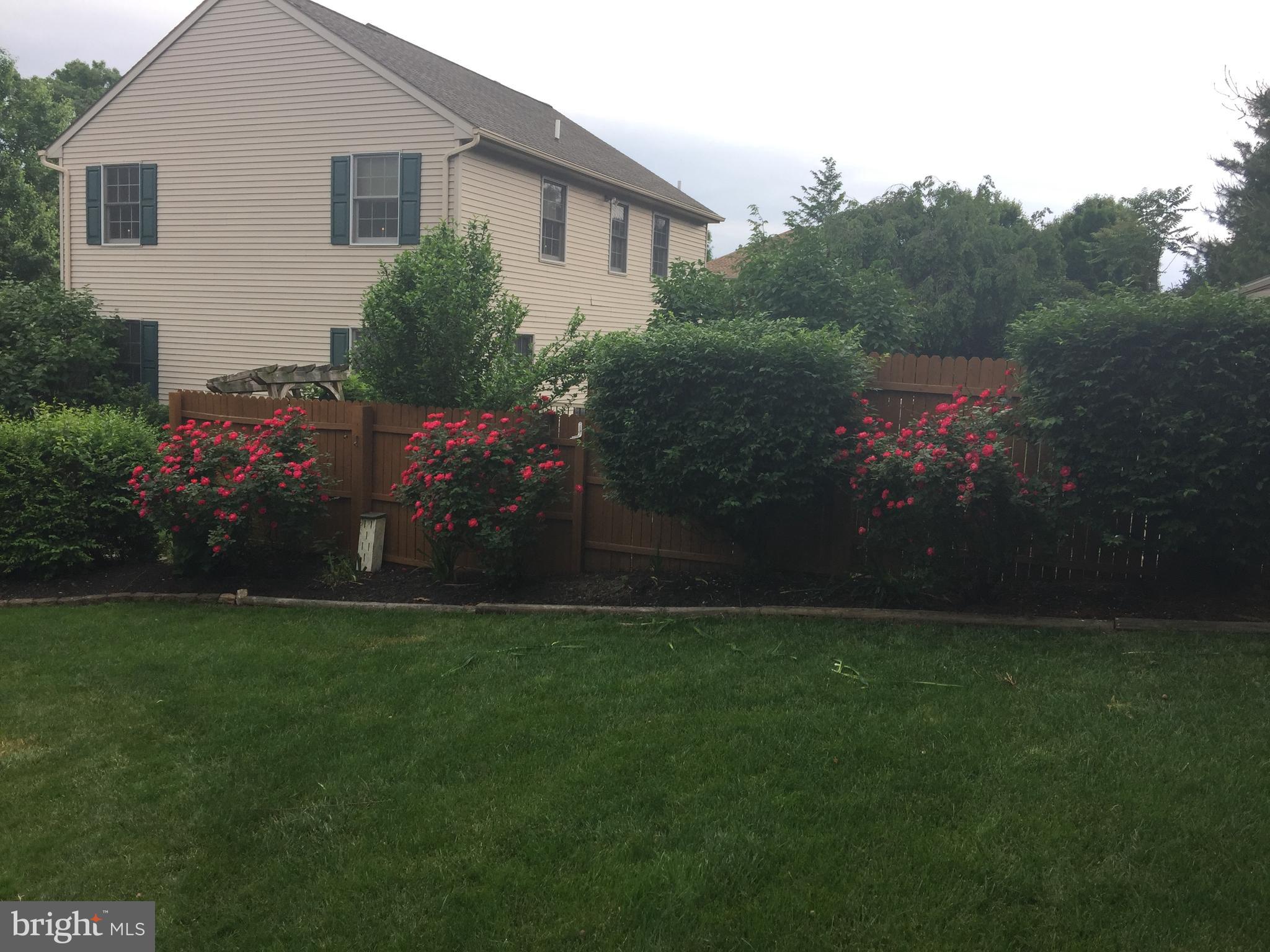 SPRINGFIELD RIDGE - Residential