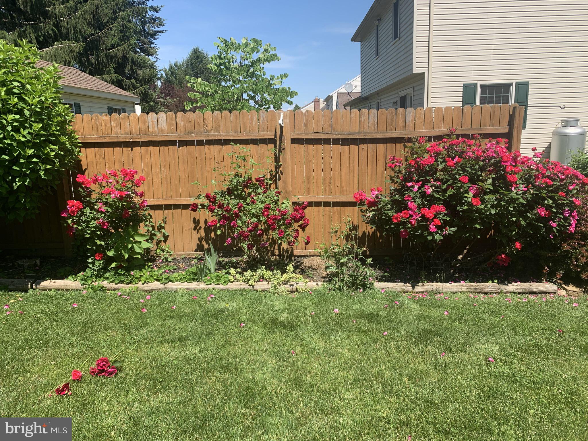 SPRINGFIELD RIDGE - Residential