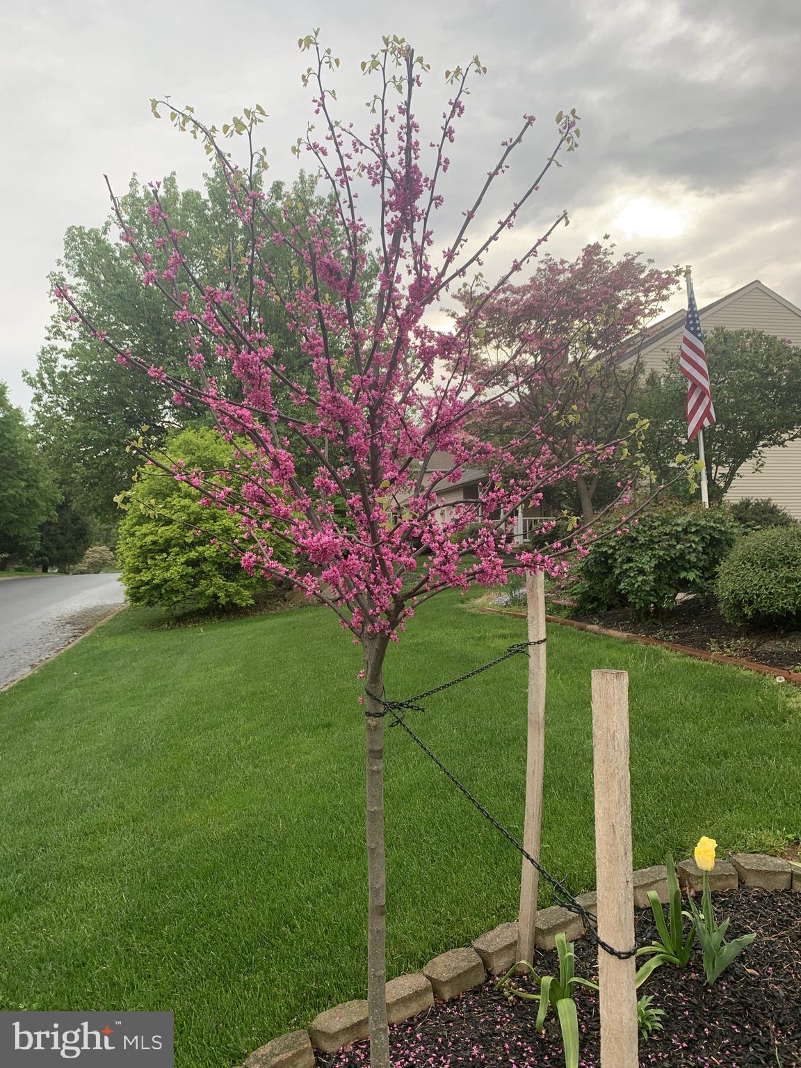 SPRINGFIELD RIDGE - Residential