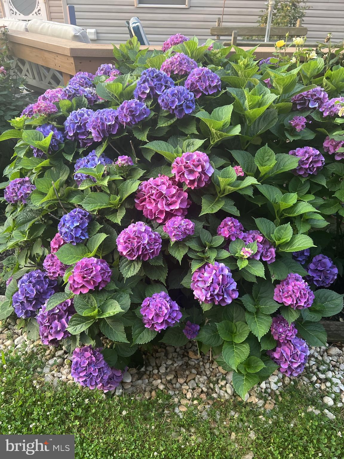 SPRINGFIELD RIDGE - Residential