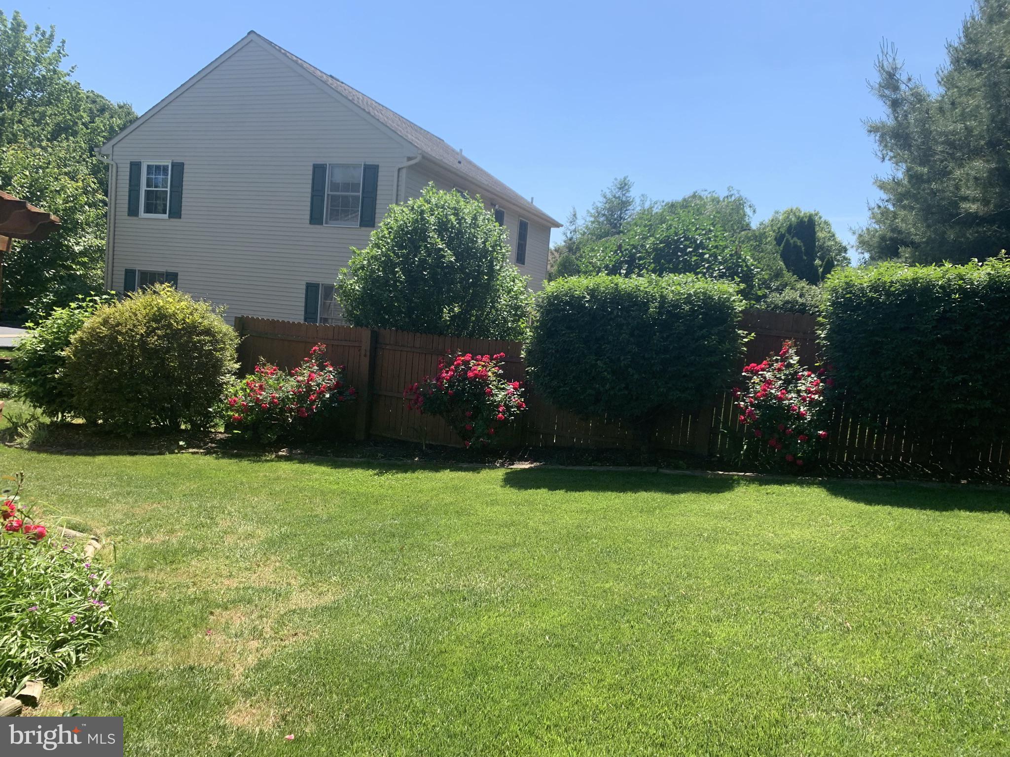 SPRINGFIELD RIDGE - Residential