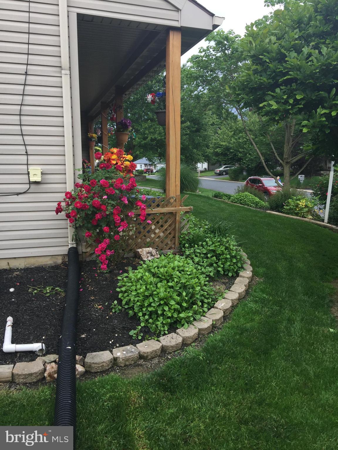 SPRINGFIELD RIDGE - Residential