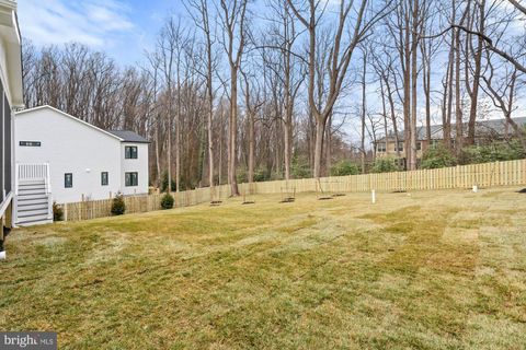 listing image 81