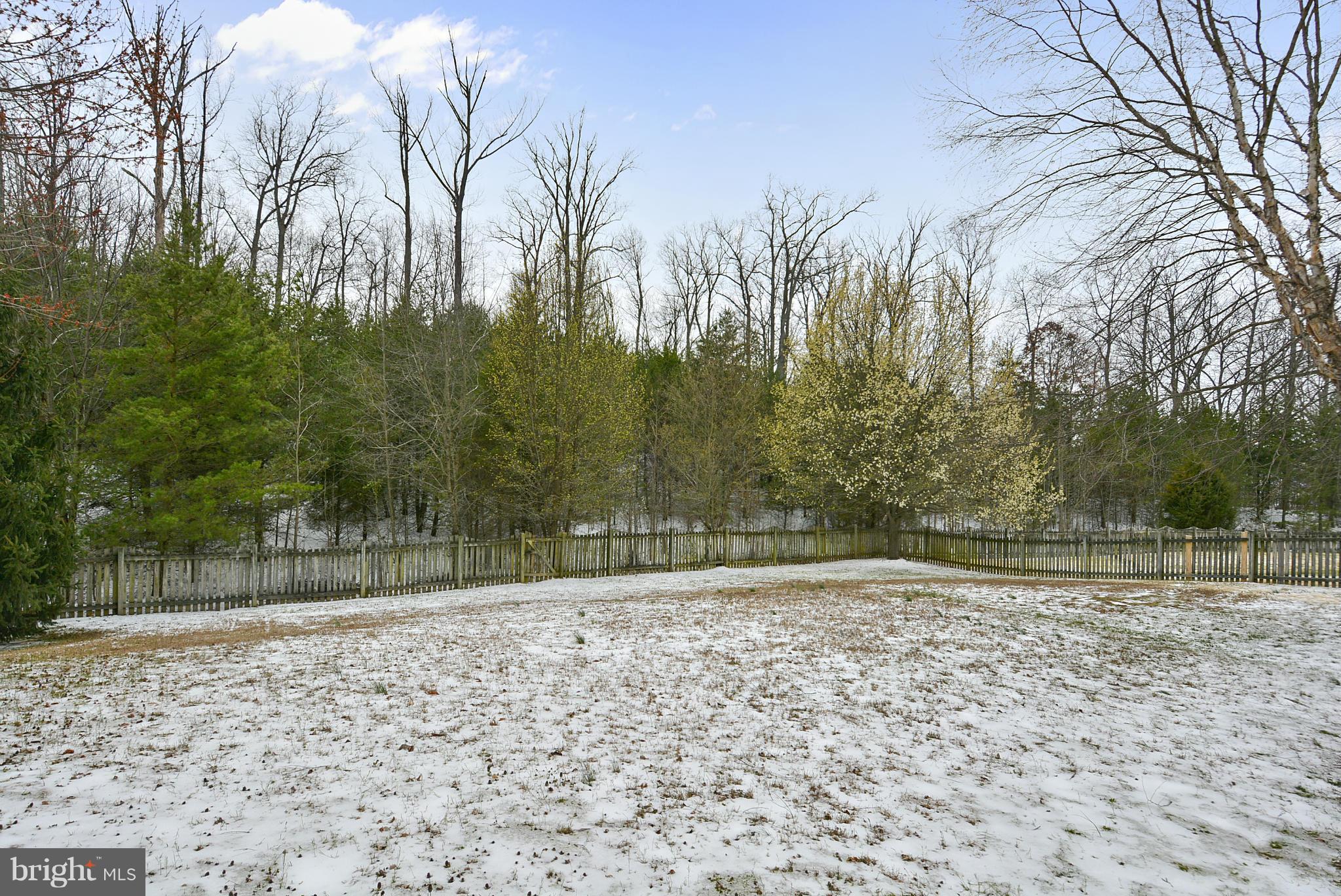 NEWPORT - Residential Lease