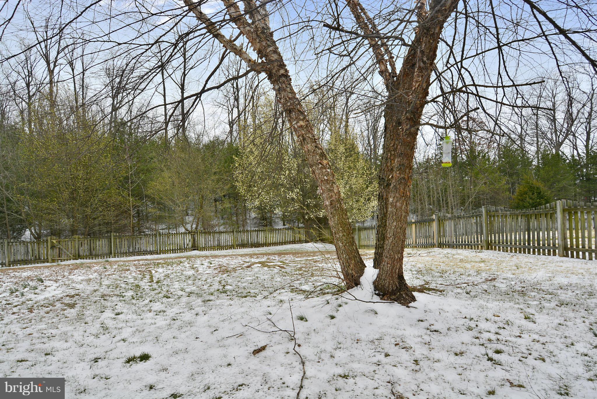 NEWPORT - Residential Lease