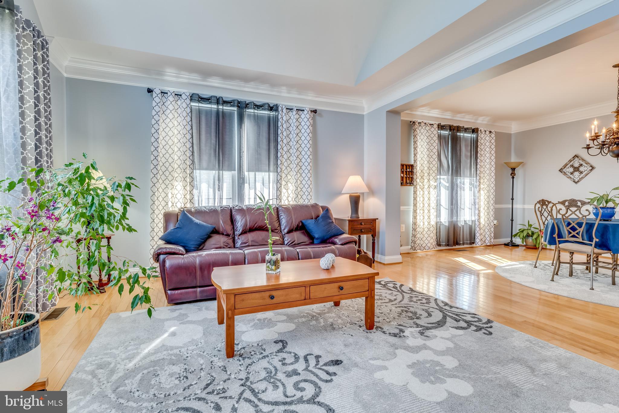 NORBORNE GLEBE - Residential